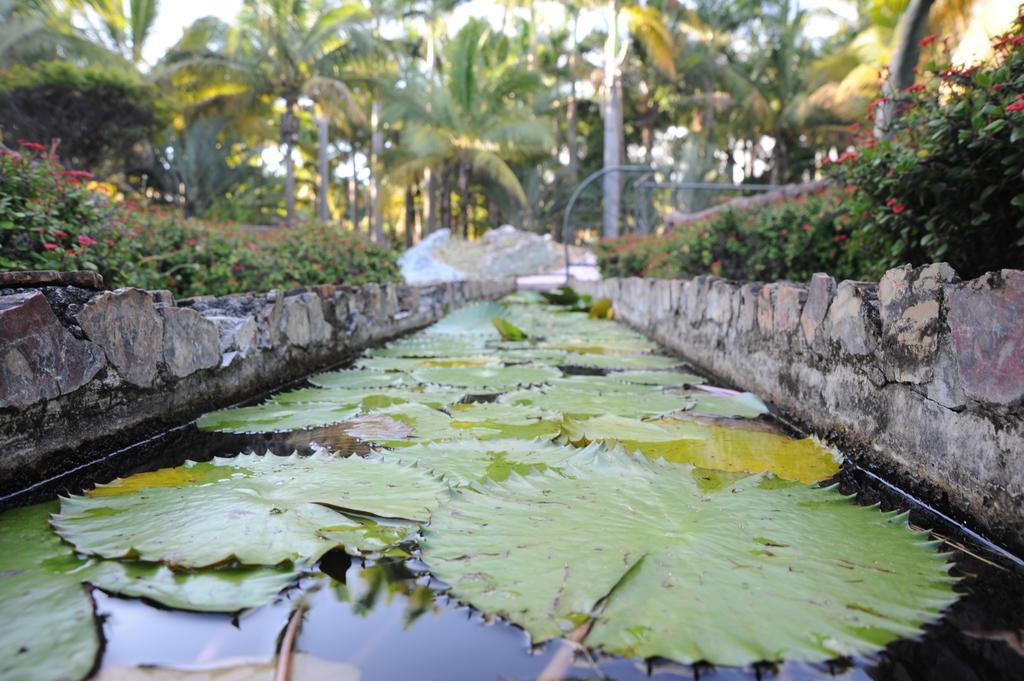 Le Domaine Des Pierres Hotel Saint Pierre Bagian luar foto